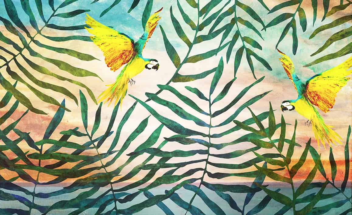 wallpaper tropical parrrots 59 animal attitude (1)